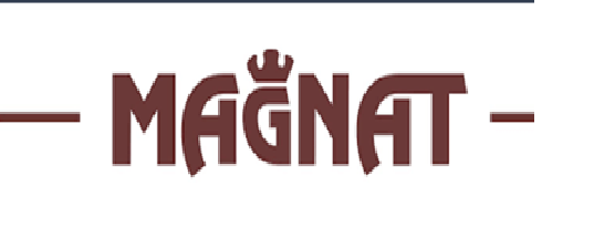 Logo Magnat